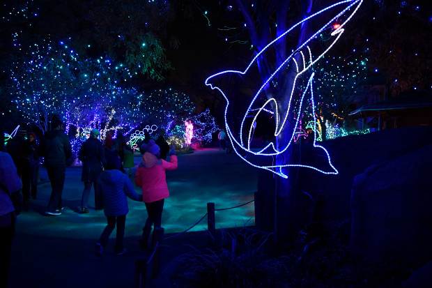 Denver Zoo Lights