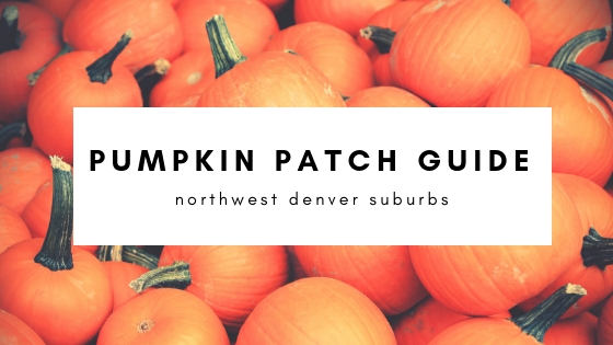pumpkin patch guide